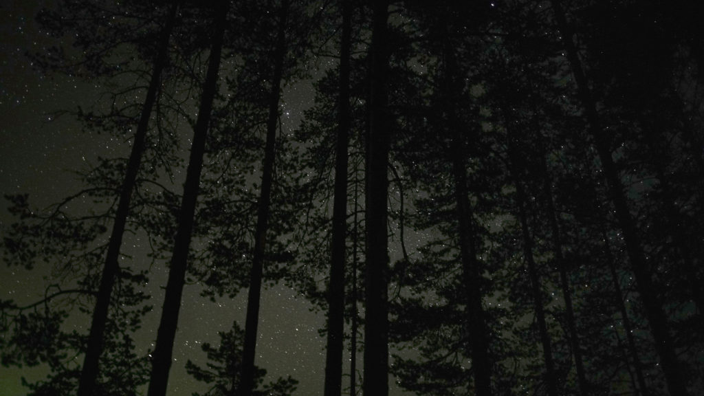 Stillkuva Pekka Luukkolan videoteoksesta Sense of Time