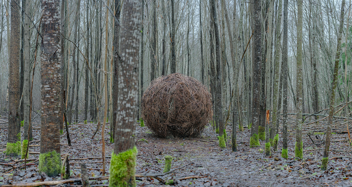 Kuvassa suuri risupallo keskellä metsää